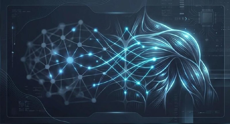 A glowing blue neural-network graph on the left flows across into the sculpted muscles of a human back and shoulder on the right, set against a dark circuit-board background, illustrating weights as AI's muscle memory.